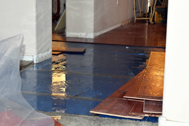 Professional Sewage Cleanup technician working in Lewisville, OH